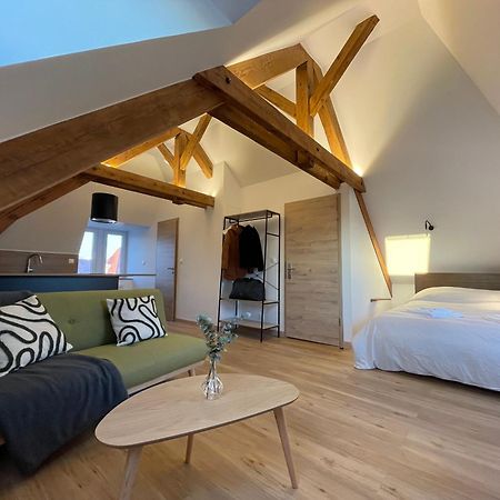 Appartement Moderne Et Spacieux, A 10 Min De La Gare Colmar Kültér fotó