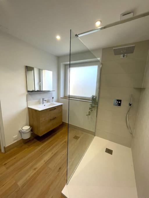 Appartement Moderne Et Spacieux, A 10 Min De La Gare Colmar Kültér fotó
