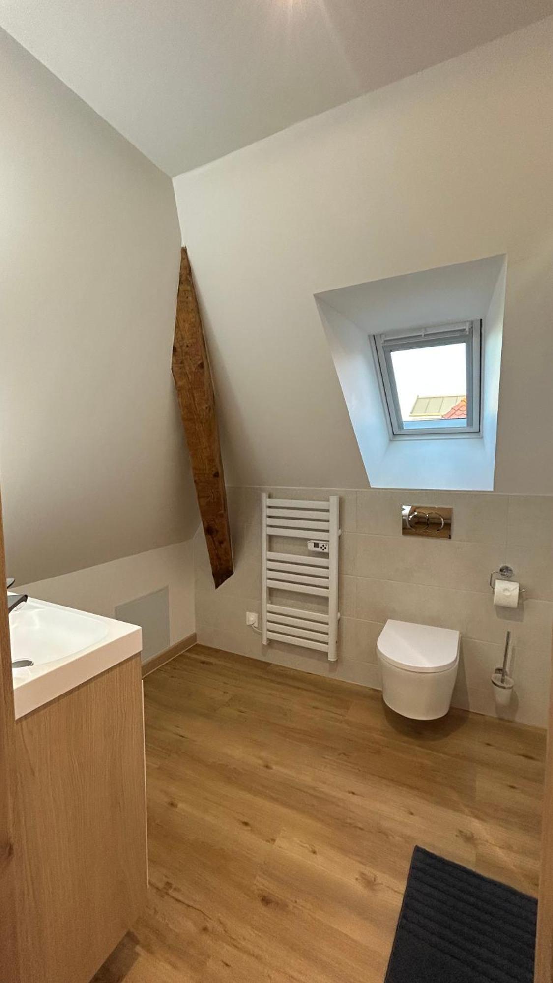 Appartement Moderne Et Spacieux, A 10 Min De La Gare Colmar Kültér fotó