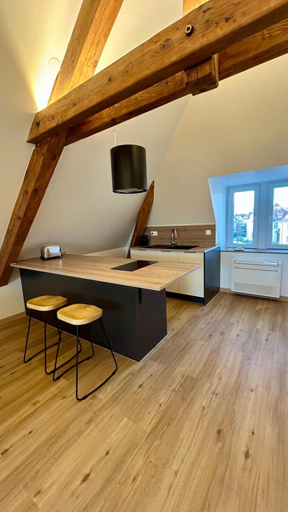 Appartement Moderne Et Spacieux, A 10 Min De La Gare Colmar Kültér fotó