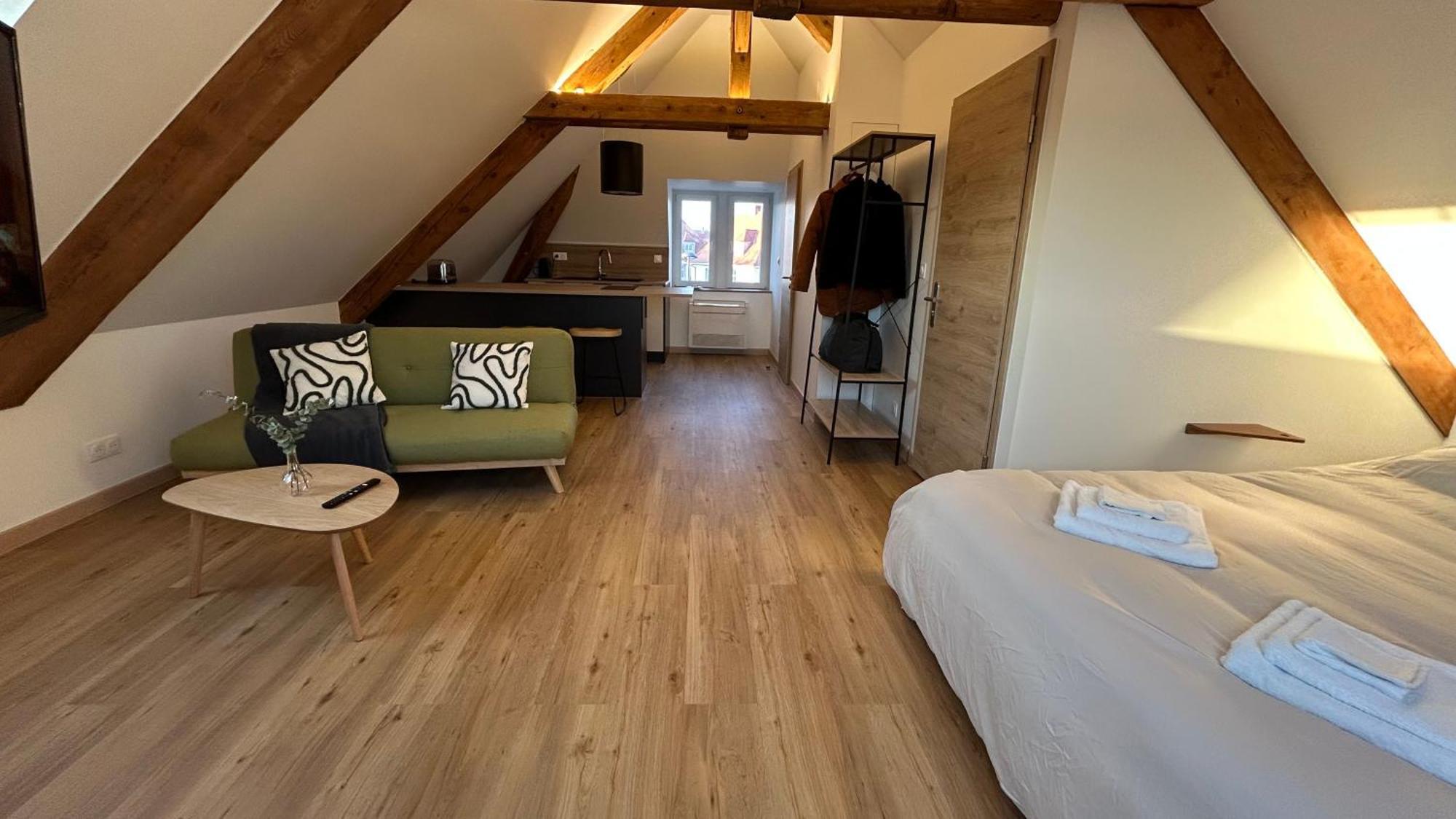 Appartement Moderne Et Spacieux, A 10 Min De La Gare Colmar Kültér fotó