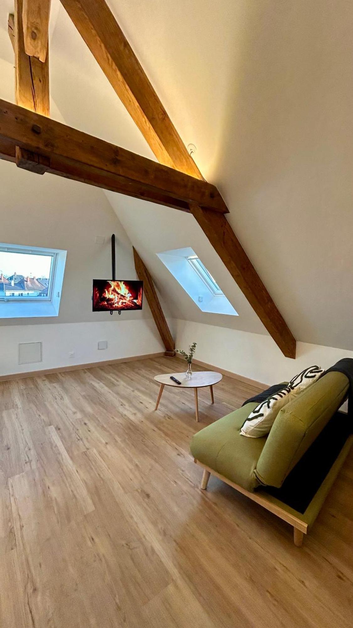Appartement Moderne Et Spacieux, A 10 Min De La Gare Colmar Kültér fotó