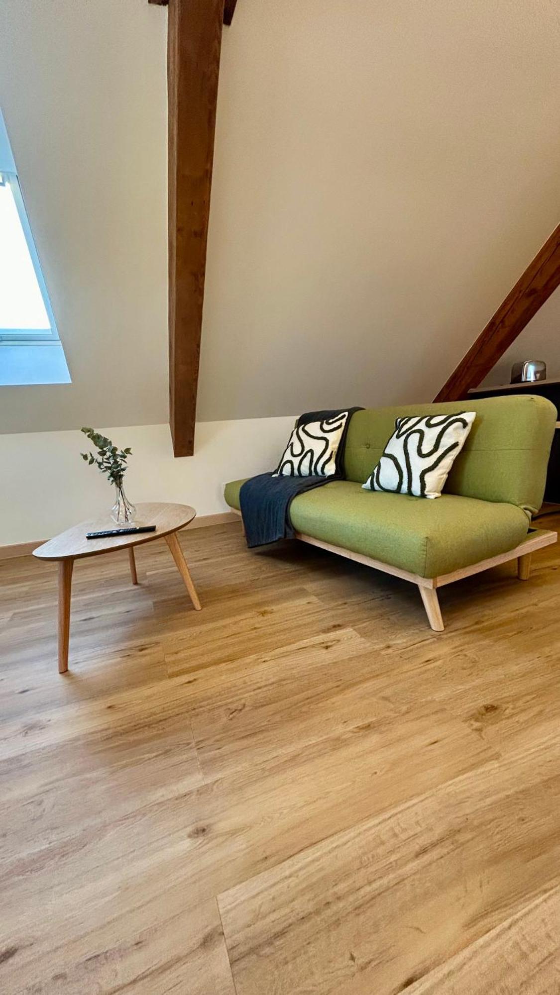 Appartement Moderne Et Spacieux, A 10 Min De La Gare Colmar Kültér fotó